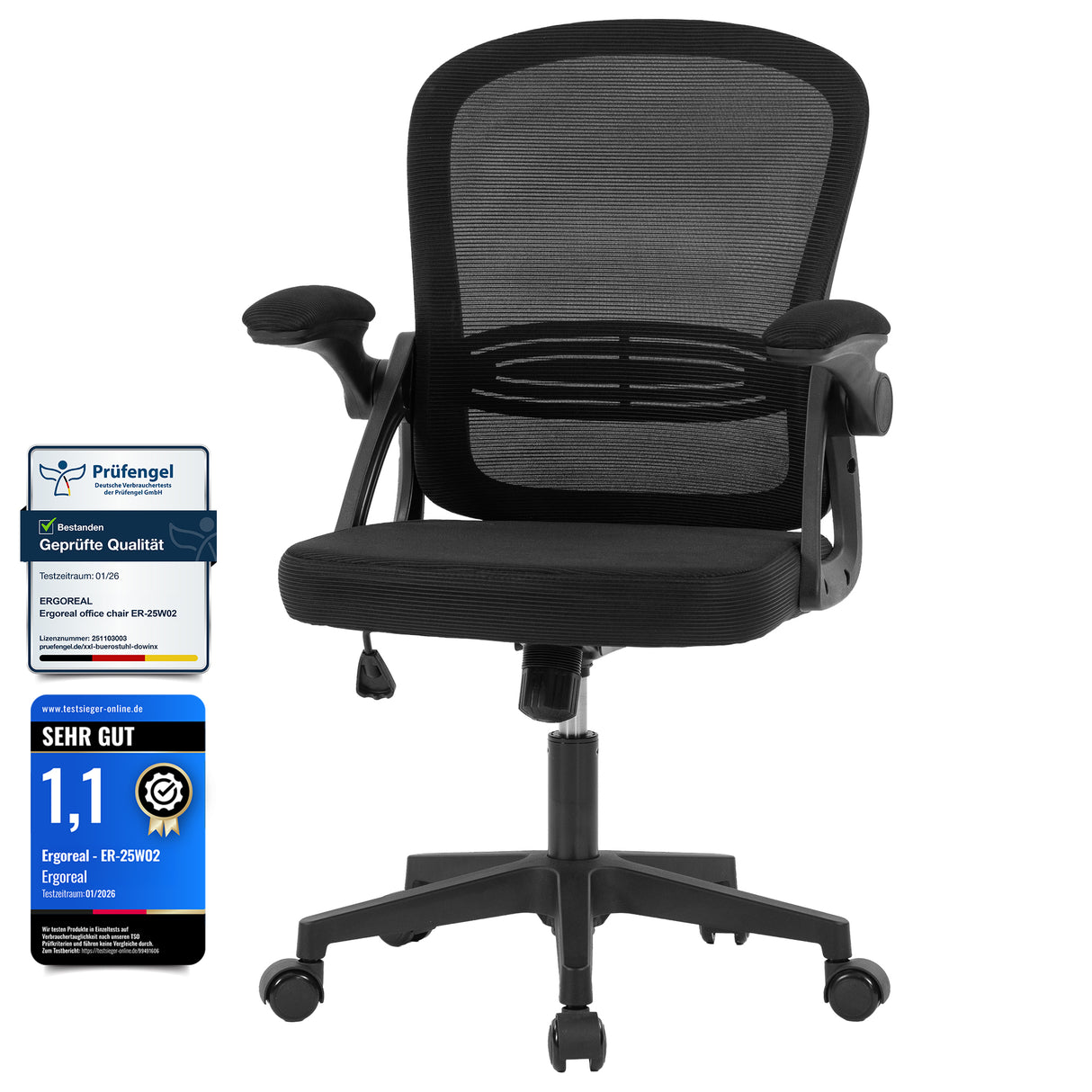 Ergoreal Lite Flex Office Chair ER-25W0201-US Black