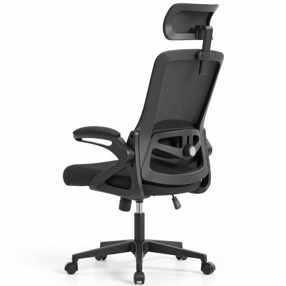 Ergoreal Ergo Pro Ergonomic Office Chair ER-25W06-US Black