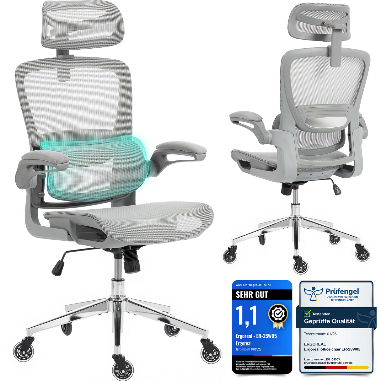 Ergoreal Ergo Pro Ergonomischer Bürostuhl ER-25W05-EU Grau