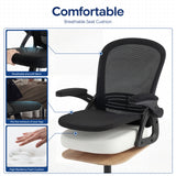 Ergoreal Lite Flex Office Chair ER-25W0201-US Black