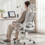 Ergoreal Ergo Pro Ergonomic Office Chair ER-25W06-US Gray