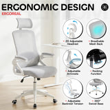 Ergoreal Ergo Pro Ergonomic Office Chair ER-25W06-US Gray