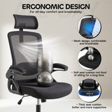 Ergoreal Ergo Pro Ergonomic Office Chair ER-25W06-US Black