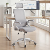 Ergoreal Ergo Pro Ergonomic Office Chair ER-25W06-US Gray