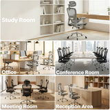 Ergoreal Ergo Pro Ergonomischer Bürostuhl ER-25W05-EU Grau