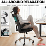 Ergoreal Ergo Pro Ergonomischer Bürostuhl ER-25W05-EU Schwarz