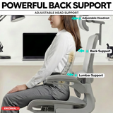 Ergoreal Ergo Pro Ergonomischer Bürostuhl ER-25W05-EU Grau
