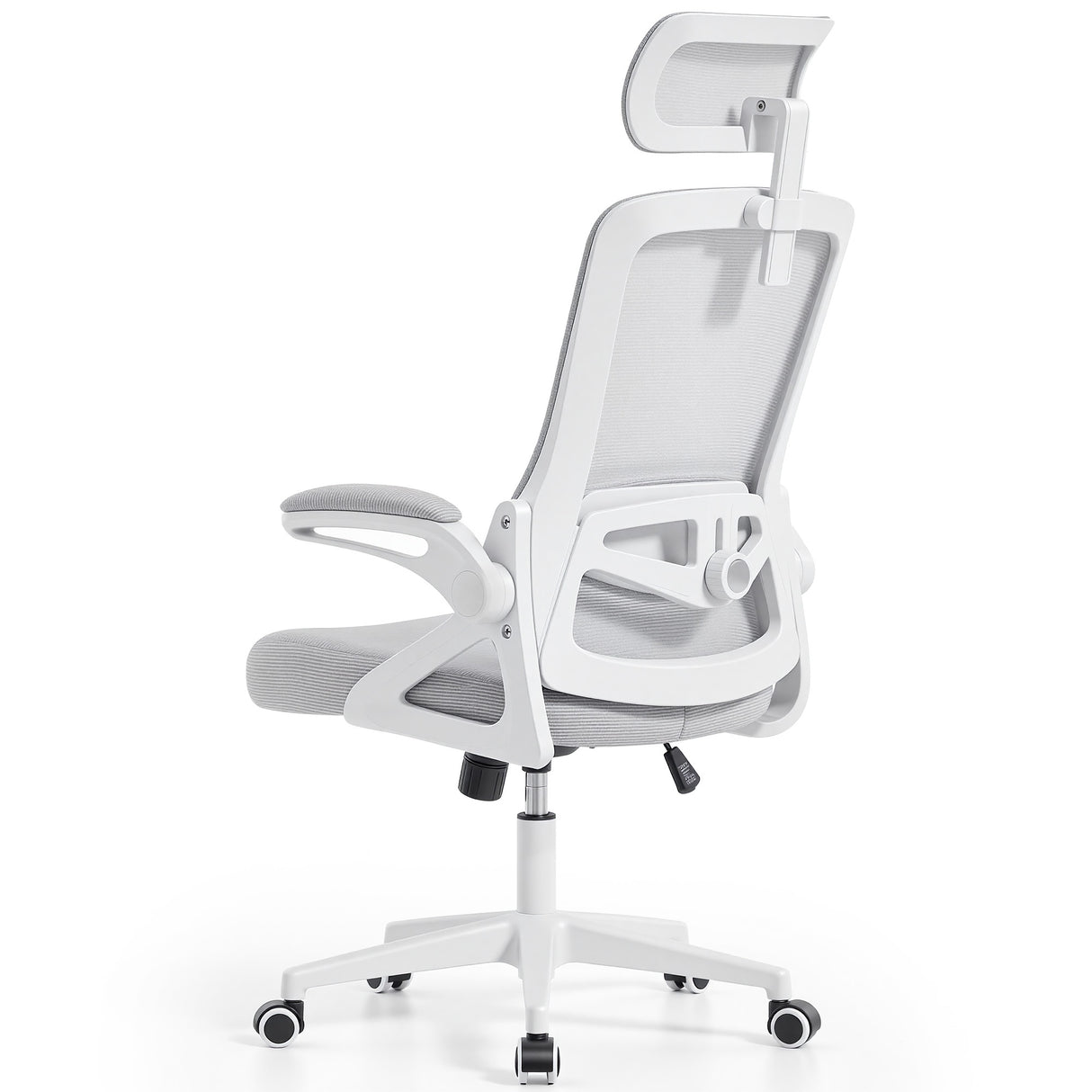 Ergoreal Ergo Pro Ergonomic Office Chair ER-25W06-US Gray