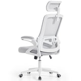 Ergoreal Ergo Pro Ergonomic Office Chair ER-25W06-US Gray